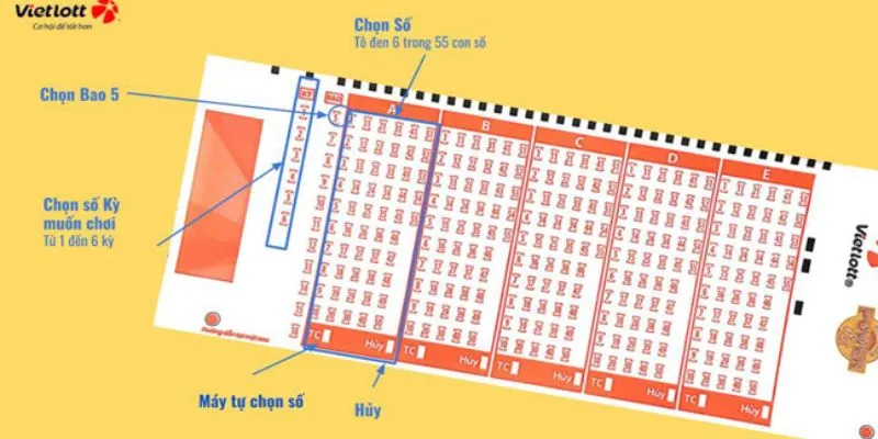 Bao Số Vietlott Là Gì? Tìm Hiểu Chơi Hiệu Quả Cùng 32Win