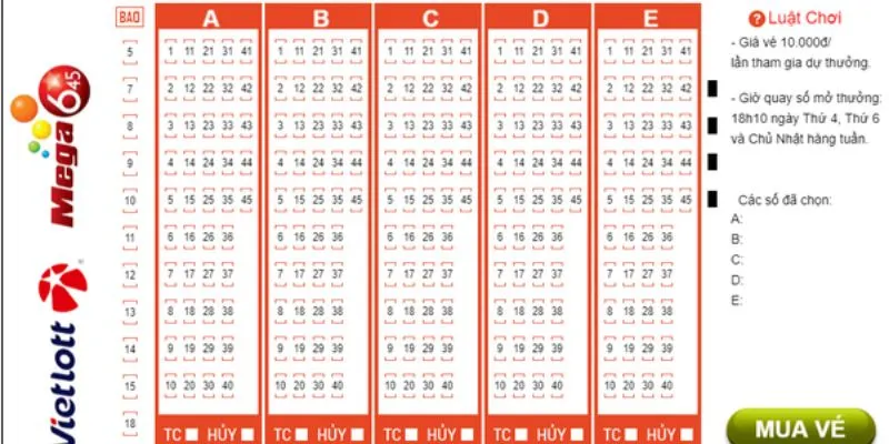 Giải đáp tường tận câu hỏi - Bao số Vietlott là gì?